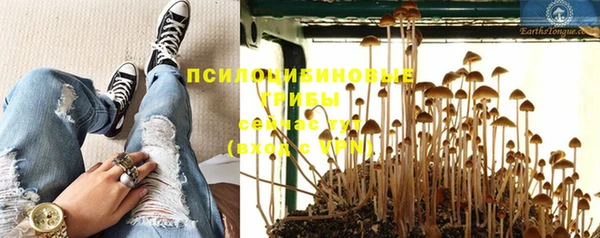 не бодяженный Абдулино