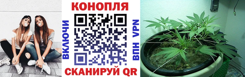 Марихуана тримм где продают Анадырь